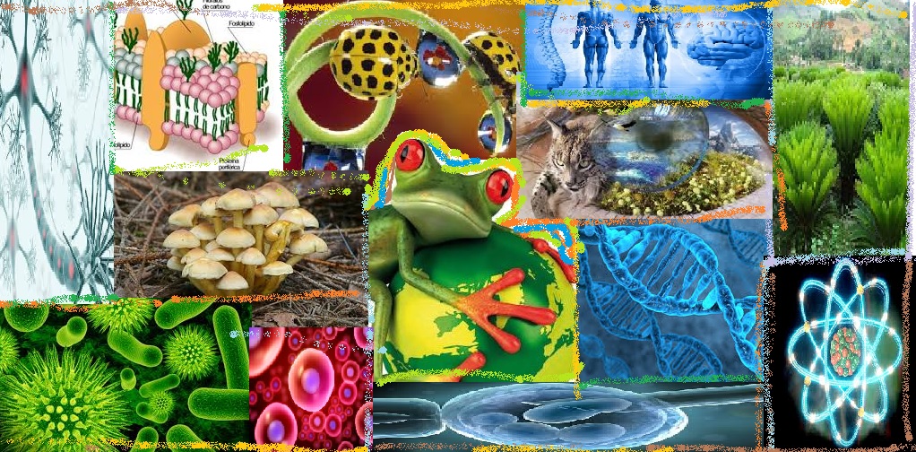 ciencia naturales